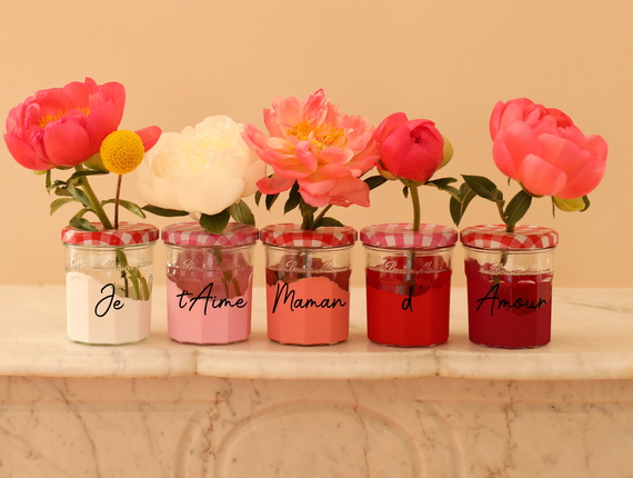 Jolis vases colorés Bonne Maman- Bonne Maman